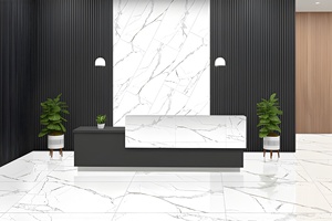 Alfa Silver Modern <b>Matte</b> Porcelain <b>Floor</b> and Wall Tiles Acid Resistant Anti Slip Interior Tiles for Hotel Villa Apartment - Product Image 3