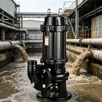 Pompe à eaux usées industrielle à bride série WQ pour le drainage des fossés, étangs et piscines municipales - Modèles complets