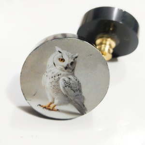 Boutons de porte en résine de luxe White Owl infusant vos intérieurs avec un attrait esthétique unique et une qualité durable - Product Image 3