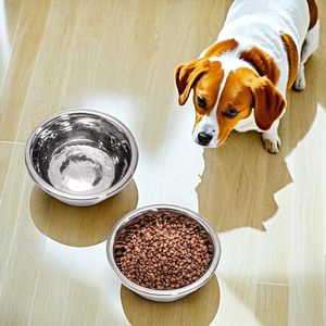 Bol à nourriture pour chien portable en acier inoxydable, remplacement en vrac, épaissi, anti-fuite, durable pour les chiens de petite, moyenne et grande taille - Product Image 1