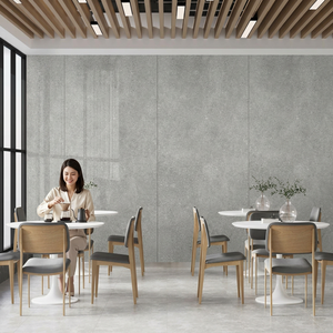 Herican Grande dalle de pierre frittée extérieure 160x320cm Carreaux Finition soyeuse grise mate pour sols et murs de luxe - Product Image 2