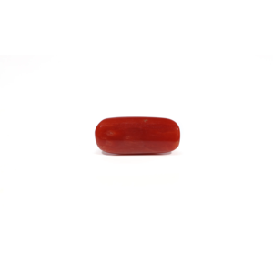 Natural Red Coral Loose Gemstone 6.04 Carat Certified Wholesale Raw - Product Image 2