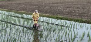 Abridor de Surcos Resistente para Uso Agrícola, Máquina de Arado para una Preparación del Suelo Confiable - Product Image 3