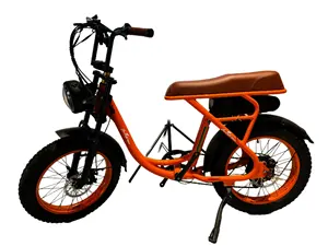 Smart Ravel Electric Bike 20" Fat Tire 40km/h Adult Fatbike Electric No Battery 48V Rear Hub 350W Motor Electric Bicycle