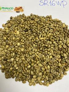 Café Vert Robusta PHALCO de Haute Qualité Grade 1 Tamis 16/18 Vietnam Meilleur Prix Prêt à l'Exportation Emballage Sac de Jute 1000kg - Product Image 4