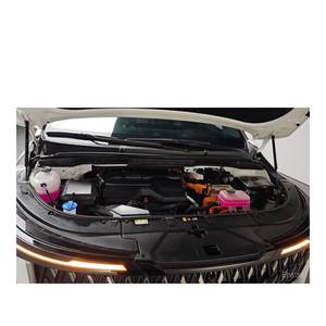 Kia Carnival HEV 2024, 7 Plazas, Versión Signature, 15,204 km, Caja de Cambios Automática, Asientos de Cuero, Cámara Trasera, Volante a la Izquierda - Product Image 5