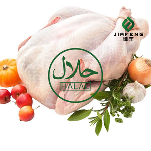 Poulet entier cuit congelé en différentes tailles, cuit à la vapeur et emballé en boîtes - Product Image 1