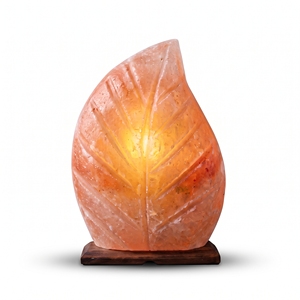 Handmade Himalayan Salt <b>Leaf</b> Shaped Lamp Unique Natural Mineral Accent <b>Light</b> for Living Room Styling Office Decor - Product Image 1