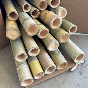 High-Tensile Vietnamese Bamboo Raw Materials | Thick-Walled Natural Bamboo <b>Poles</b> - Product Image 1