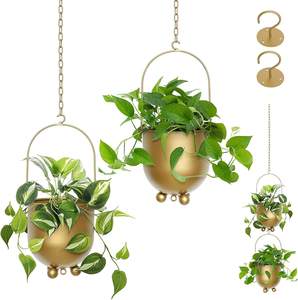 Ganchos Metálicos para Plantas con Cadena, Modernos Ganchos Colgantes para Interiores y Exteriores, para Pared y Techo - Product Image 1