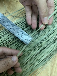 ผู้จัดจำหน่ายหญ้าทะเลแห้งจากเวียดนาม หญ้าทะเลแห้งธรรมชาติ ขนาด 1.7 เมตร สำหรับงานสานและทำที่นอนสัตว์เลี้ยง 16 ANGLE - Product Image 3