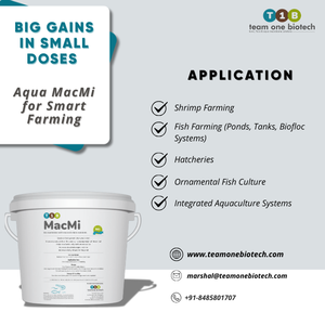 Stimulant nutritif pour la stabilité des bactéries dans l'aquaculture - Product Image 5