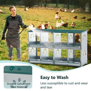 Jaula para Gallinas de 8 Compartimentos, Cajas de Anidación Metálicas para Pollos, Usadas/Nuevas, Jaulas para Animales - Product Image 5