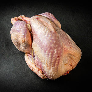 Dinde entière congelée de qualité supérieure, dinde entière de haute qualité pour l'exportation en gros - Product Image 1