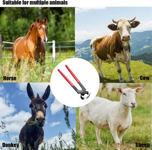 Cortauñas para Caballos, 10 Cortauñas Resistentes con Empuñadura de Plástico, Cortauñas para Recortar Pezuñas, Cortauñas para Caballos, Ovejas y Cabras - Product Image 2