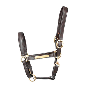 Harnais en cuir marron pour cheval avec quincaillerie dorée et plaque nominative - Product Image 1