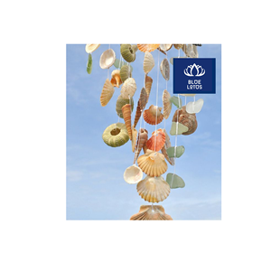 EN STOCK Conchas Marinas Ecológicas, Seguras y Limpias, Ideales para la Elaboración de Velas y Manualidades, Venta de Fábrica - Product Image 1