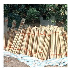 Poteau en bambou naturel fabriqué à partir de bambou durable pour la construction et la fabrication de meubles, origine Vietnam. - Product Image 3