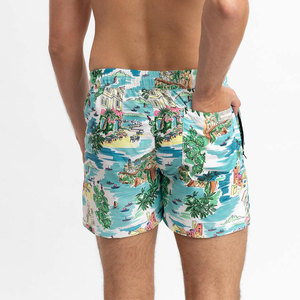 Shorts de Playa Personalizados para Hombre, Secado Rápido, Estampados, Transpirables, Ligeros, Ropa de Verano, Shorts de Playa para Hombre - Product Image 5