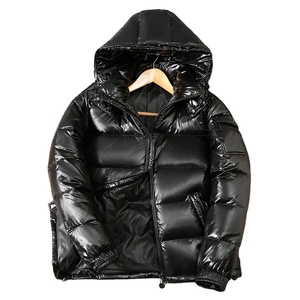 Veste matelassée à capuche pour homme, imperméable et respirante, style streetwear, à manches régulières, avec logo personnalisé, vente en gros, collection printemps - Product Image 1