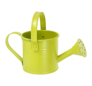 Arrosoir en fer vert avec long bec pour le jardinage, finition peinte durable - Product Image 3