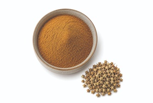 Proveedor Mayorista de Extracto Herbal de Tribulus Terrestris en Polvo - Product Image 5
