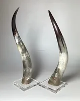 Meilleure pièce décorative en corne de taureau pour la décoration de table et de mur, longue corne de bœuf naturelle, corne de buffle pour la maison, fabriquée en Inde