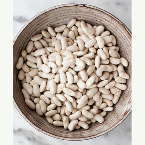 Venta al por mayor de frijoles blancos de primera calidad a precio económico - Product Image 5