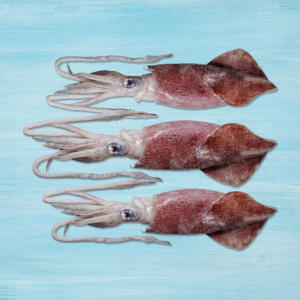 Calamars surgelés de qualité supérieure en gros - Product Image 2