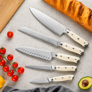 5-Piece 67-Layer Damascus Steel Handmade Chef Kitchen <b>Knife</b> <b>Set</b> with Ambidextrous RESIN Handle - Product Image 1