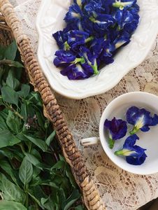 Bulk Selected Dried Butterfly Pea Flowers Natural Blue Petals Organic Herbal <b>Slimming</b> <b>Tea</b> Beverage Processing Wholesale Vietnam - Product Image 3