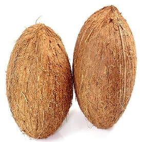 มะพร้าวสดสำหรับตลาดแอฟริกา - Product Image 5