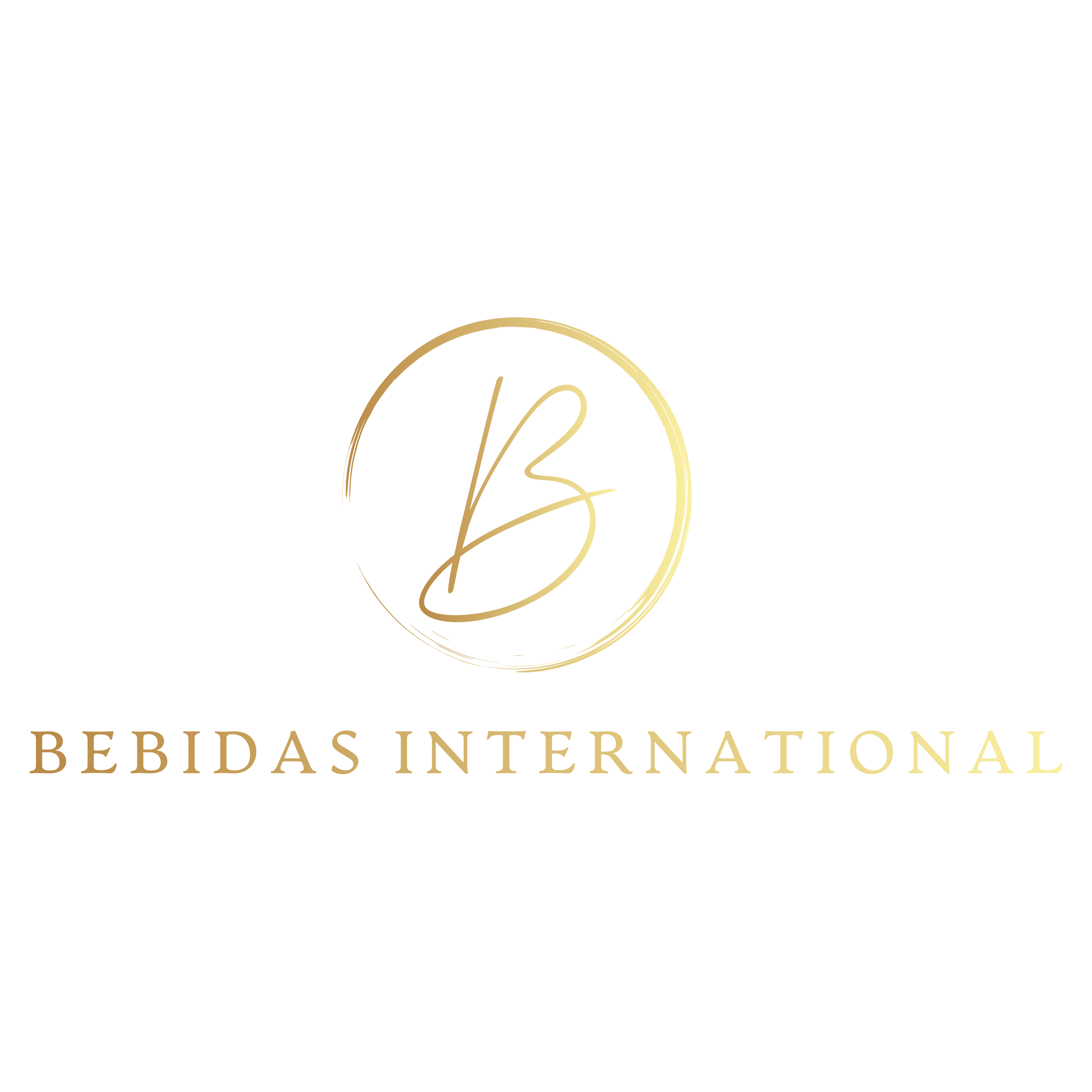 Bebidas International B.V. logo