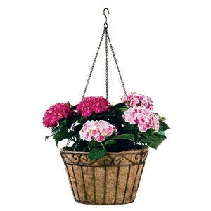 Pot de fleurs mural minimaliste en métal, design circulaire, revêtement poudré noir, pour plantes d'intérieur - Product Image 2