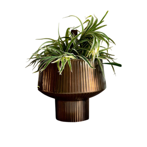 Pot de fleurs rustique en métal galvanisé avec narcisses, pot de fleurs d'extérieur pour plantes et décoration végétale - Product Image 5