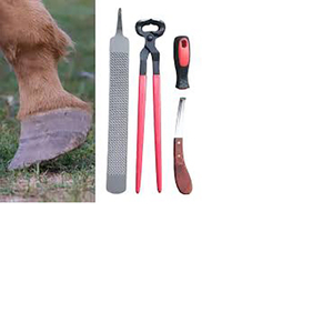 Farrier Rasp File and Hoof Nipper <b>Set</b> with Wooden Handle Reusable Horse Use Made in Pakistan Includes Tool Bag - Product Image 4