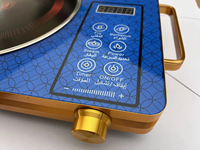Plaque chauffante infrarouge électrique en acier inoxydable pour usage domestique et hôtelier