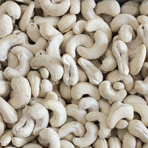 Free Sample Cashew W180 Cashew <b>Nuts</b> Ready To Ship Santigo - Product Image 1