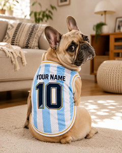 Chaleco deportivo de malla a rayas personalizado para perros con nombre y número 10 para mascotas, para usar en todas las estaciones - Product Image 4