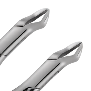 2 Piezas de Fórceps Manuales para Extracción Dental # 88R # Herramientas de Extracción Quirúrgica de Acero Inoxidable con Mango de Pitón Hueco Dorado de 88L - Product Image 4