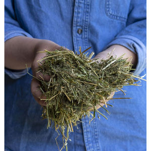 หญ้าอัลฟัลฟ่าคุณภาพพรีเมียมแบบสับสำหรับอาหารสัตว์ อุดมด้วยไฟเบอร์และโปรตีนสูง - Product Image 4