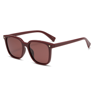 Gafas de Sol Polarizadas RTS TAC 2026 con Montura Completa Grande de PC para Hombre y Mujer, Estilos Casuales de Moda - Product Image 6