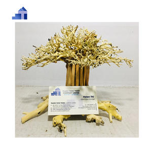 Décoration d'aquarium en bonsaï fait main, forme irrégulière, ornement durable pour aquarium, fabriqué au Vietnam - Product Image 5