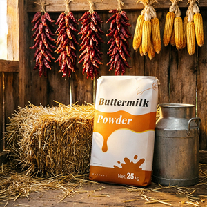Poudre de babeurre naturelle en vrac, poudre laitière fermentée, additif alimentaire pour les snacks et la pâtisserie - Product Image 3