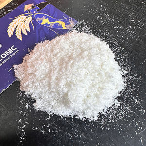 มะพร้าวอบแห้งคีธ วิลาโคนิค ชนิดไขมันต่ำ เกรดละเอียด – ส่วนผสมอาหารสำหรับเบเกอรี่และขนมหวาน จำหน่ายแบบขายส่ง - Product Image 1