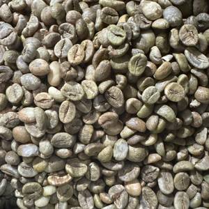 Café Robusta de qualité supérieure, grains de qualité 13,16, faible teneur en brisure noire, matière première brute pour torréfaction, nouvelle récolte, ferme du Vietnam - Product Image 2