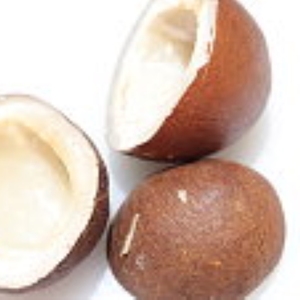 Noix de coco sèche premium, noix de coco brune entière mûre, noix de coco naturelle séchée, approvisionnement en vrac pour les acheteurs en gros et la transformation alimentaire - Product Image 2