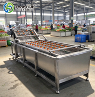 Voedselverwerkingsmachine met belletjeswasmachine en luchtbellenreinigingsmachine voor gebruik in de fruit- en groentelijn