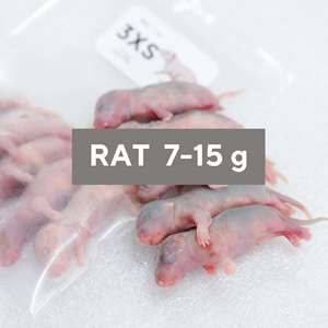 Rats congelés 3XS 7-15g, nourriture pour serpents, rongeurs, nourriture pour reptiles riche en protéines, vente en gros, sans salmonelle - Product Image 1