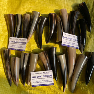 Punta de Cuerno de Búfalo Natural, Color Natural, Alta Calidad - Product Image 1